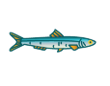 Ecuador Fish 2